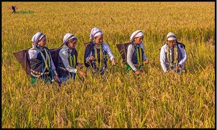बसर में Basar Confluence ( BasCon ) 3 का जश्न- Solo Backpacker